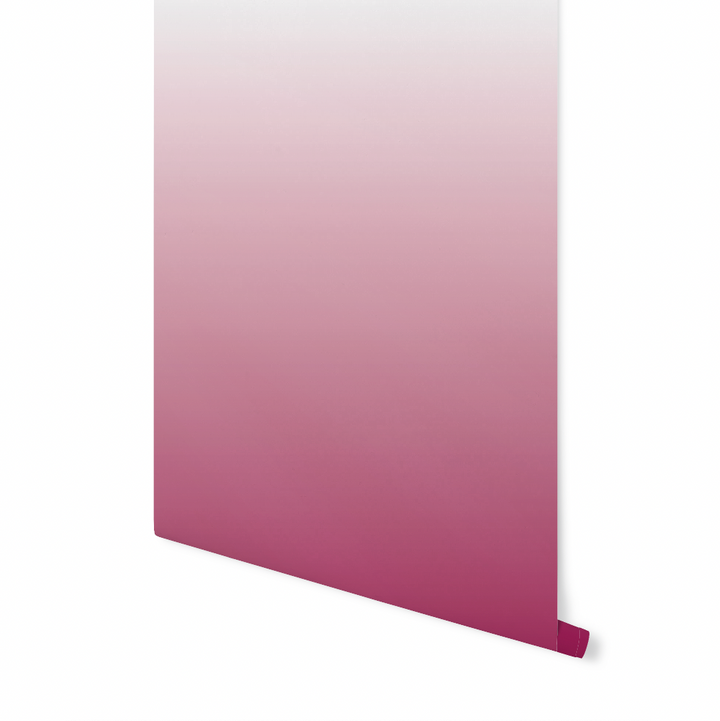Berry Fizz Pink Ombre Wallpaper WW2133