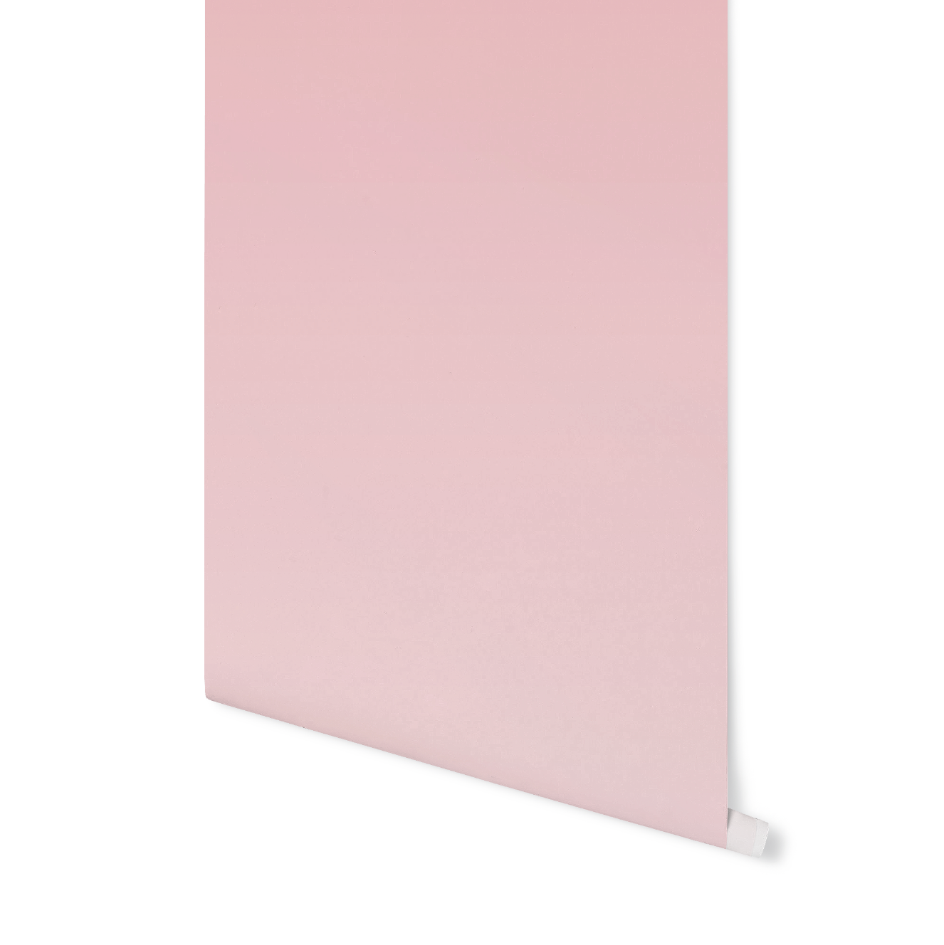 Love Unspoken Pink Ombre Wallpaper WW2310
