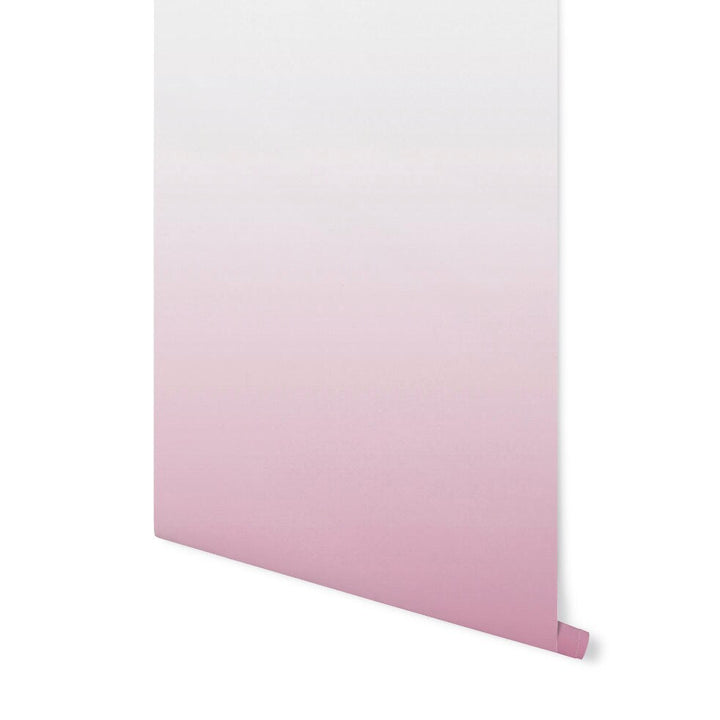 Wallpaper Ombre Pink/ Peel and Stick Wallpaper Pink/ Pink Ruffle Ombre Wallpaper/ Removable/ Unpasted Wallpaper/ Pre-Pasted Wallpaper WW2009