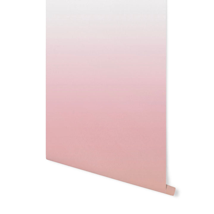 Wallpaper Ombre Pink/ Peel and Stick/ Pink and Peach Ombre Wallpaper/ Removable Wallpaper/ Unpasted Wallpaper/ Pre-Pasted Wallpaper WW1808